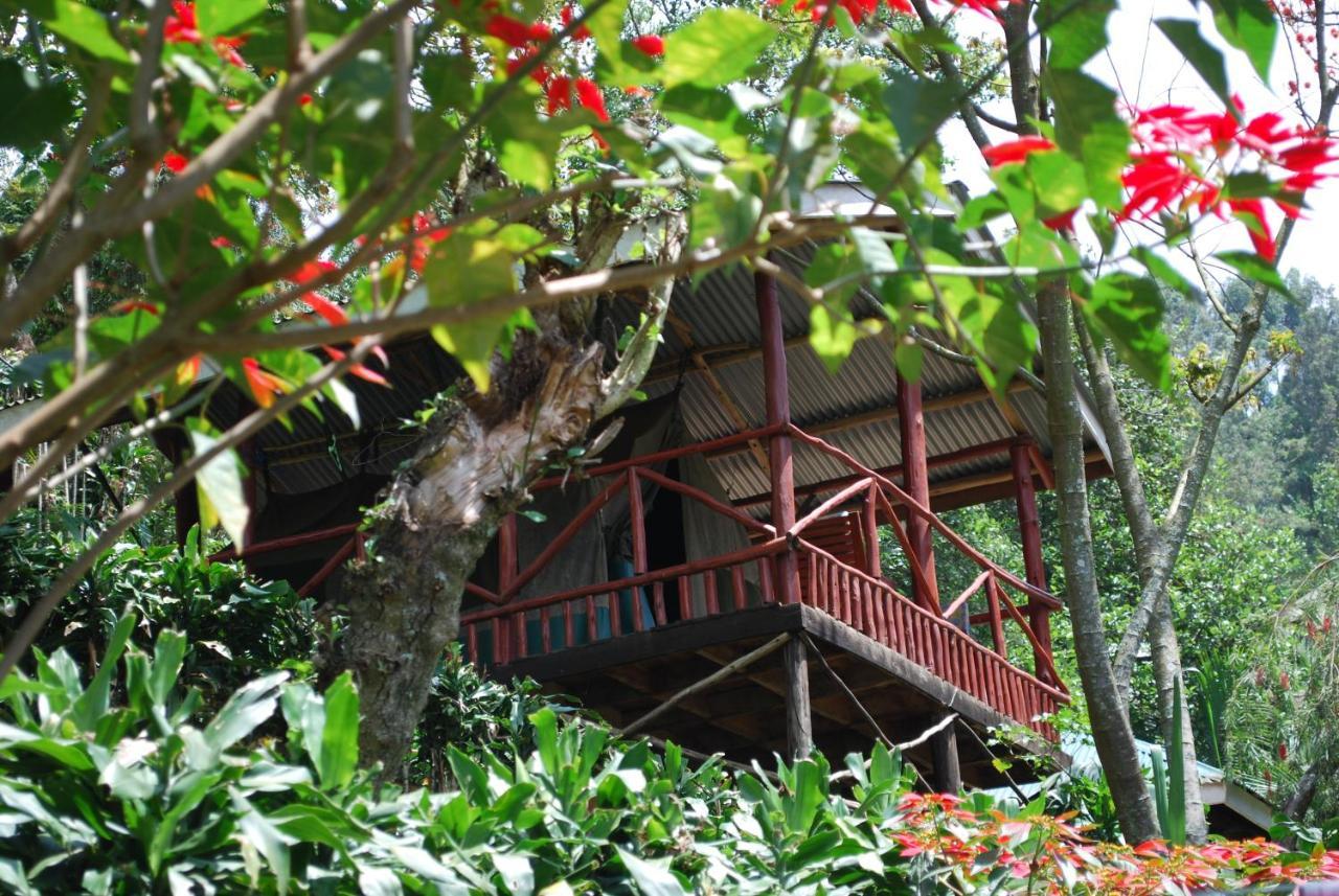 Crater Bay Cottages Kabale Dış mekan fotoğraf